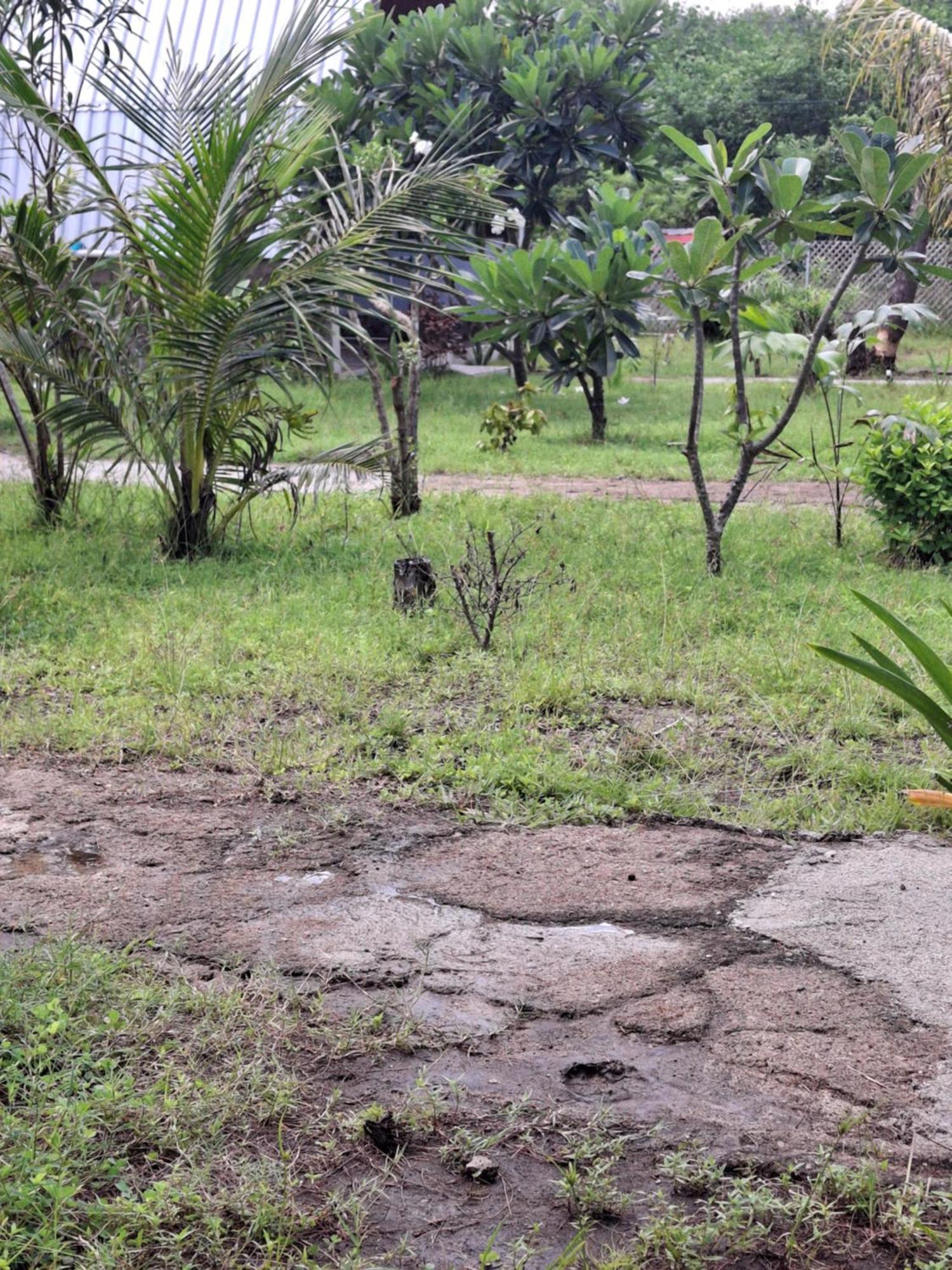 Cnunk Bungalow Gili Meno Exteriér fotografie