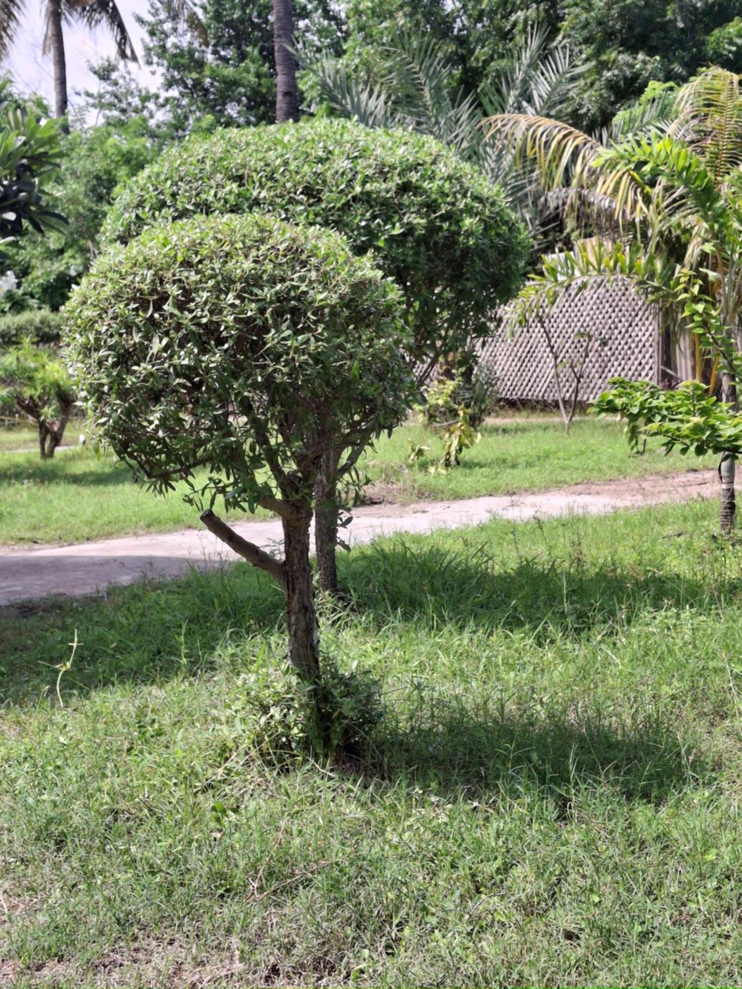 Cnunk Bungalow Gili Meno Exteriér fotografie
